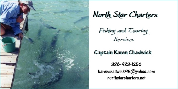 karentarponbizcardborder72.jpg